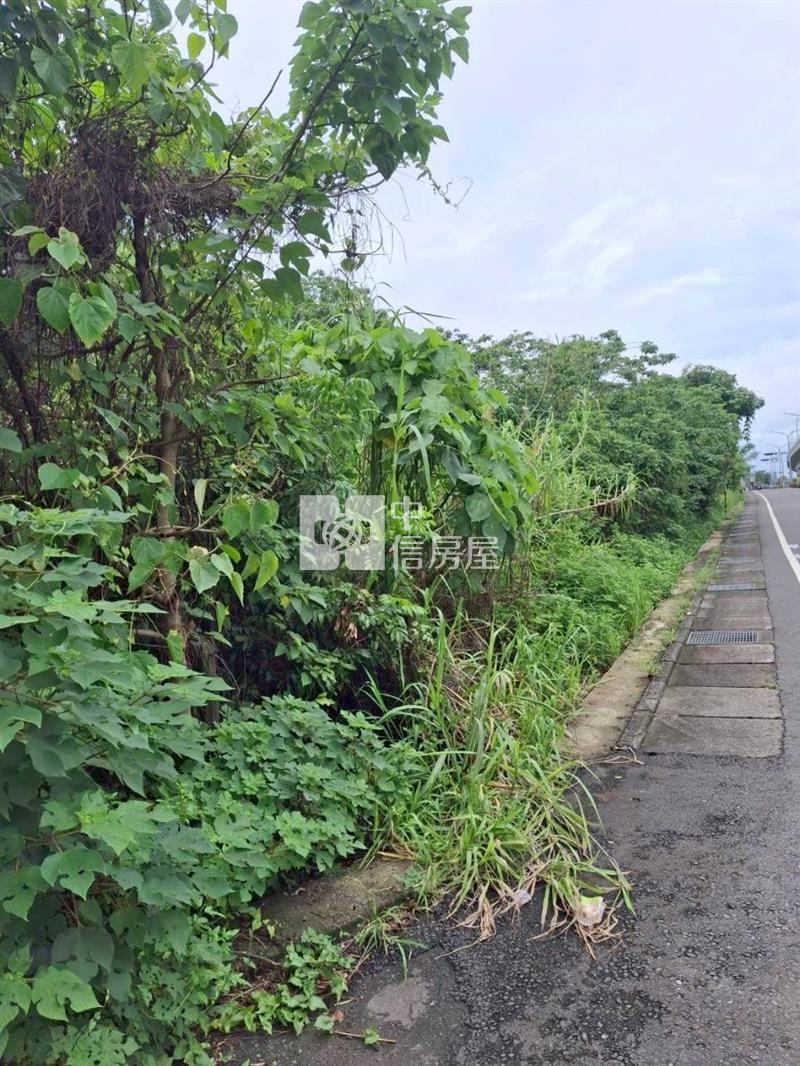 歸仁臨高鐵智慧科技大道有合法建物農地房屋室內格局與周邊環境
