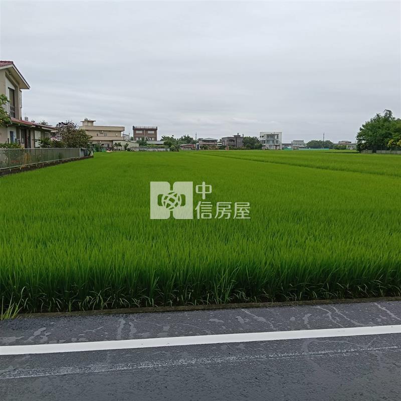 壯圍大路邊超級美農地房屋室內格局與周邊環境