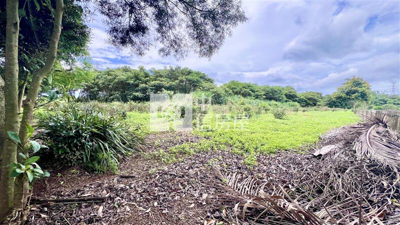 龍潭小人國渴望園區旁一般農地房屋室內格局與周邊環境