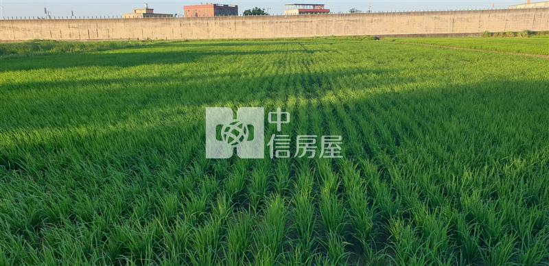 5Y71觀音農地含資材室房屋室內格局與周邊環境