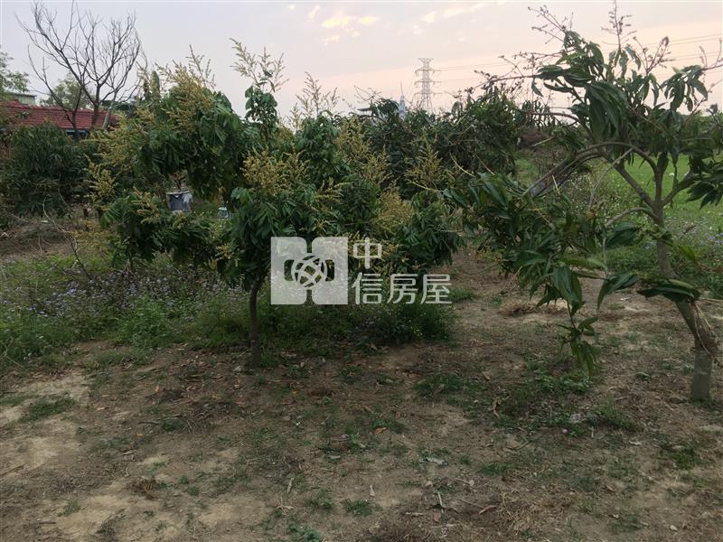 新化區那拔林庄內持分建地房屋室內格局與周邊環境