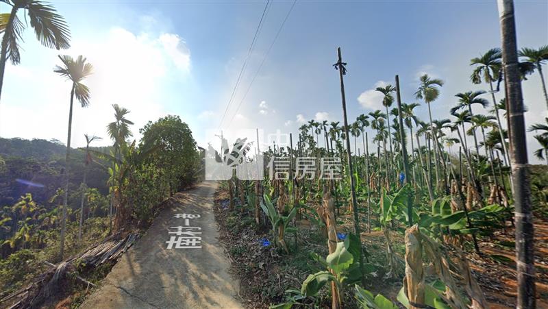 蜈蜞坑小農地房屋室內格局與周邊環境