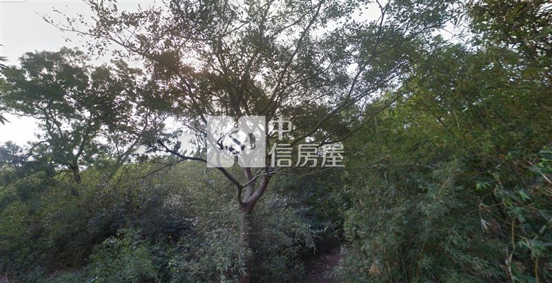 (專)梅園地(8)房屋室內格局與周邊環境