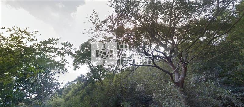 (專)梅園地(9)房屋室內格局與周邊環境