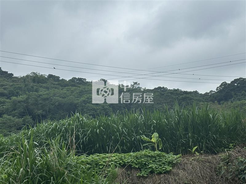 (專)梅園地(12)房屋室內格局與周邊環境