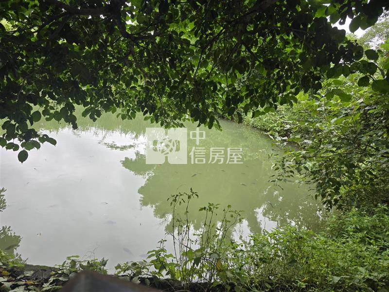 (專)梅園地(13)房屋室內格局與周邊環境