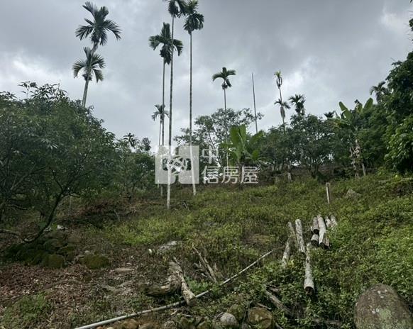 太平頭汴坑便宜土地房屋室內格局與周邊環境