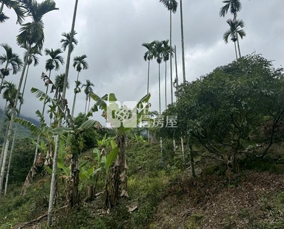 太平頭汴坑便宜土地房屋室內格局與周邊環境
