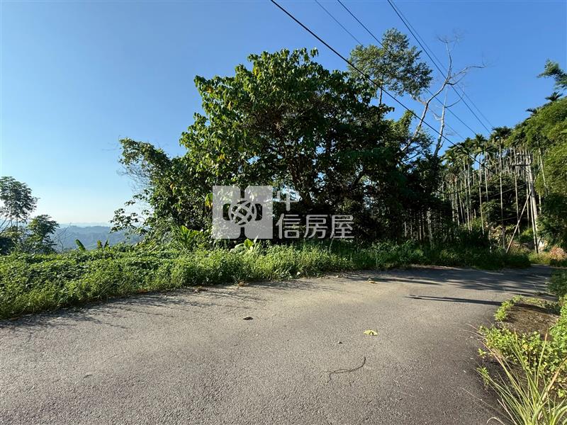 頭汴坑大地坪便宜土地房屋室內格局與周邊環境