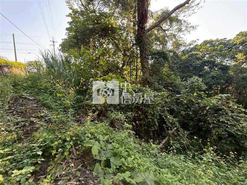 頭汴坑大地坪便宜土地房屋室內格局與周邊環境