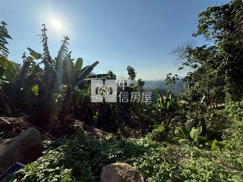 頭汴坑大地坪便宜土地房屋室內格局與周邊環境