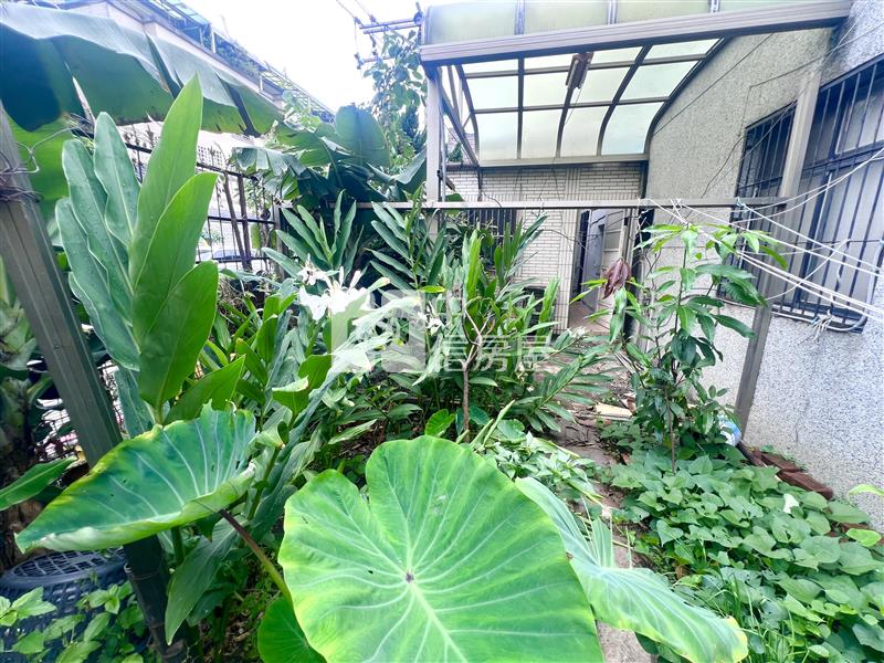 14期旁15米路角間大地坪透天房屋室內格局與周邊環境