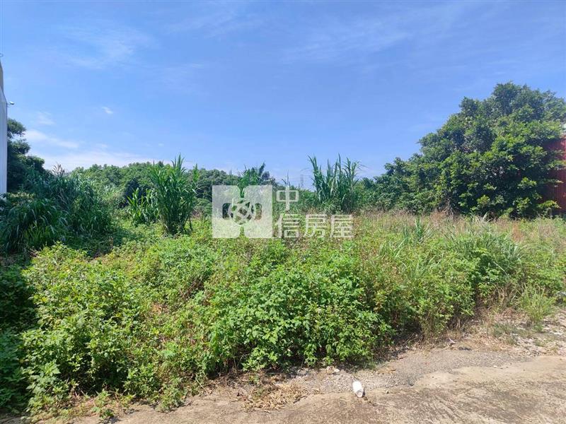 f-32大鶯路乙種建地房屋室內格局與周邊環境