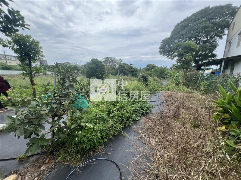 【安家】新竹湖口長威段美農地+合法資材室房屋室內格局與周邊環境