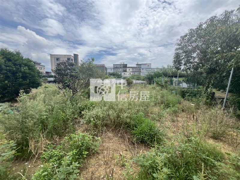 【安家】新竹湖口長威段美農地+合法資材室房屋室內格局與周邊環境
