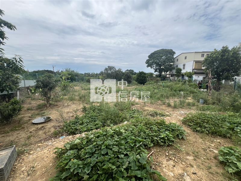 【安家】新竹湖口長威段美農地+合法資材室房屋室內格局與周邊環境