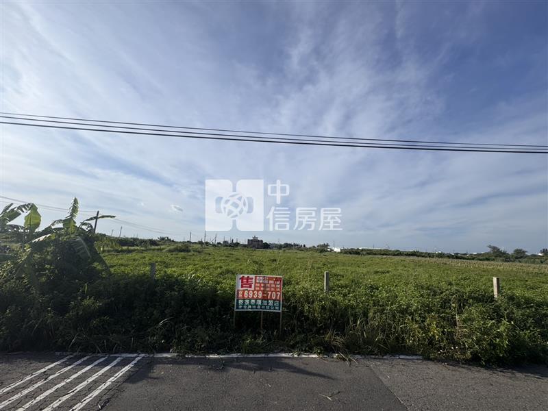 楊厝大面積養殖用地房屋室內格局與周邊環境