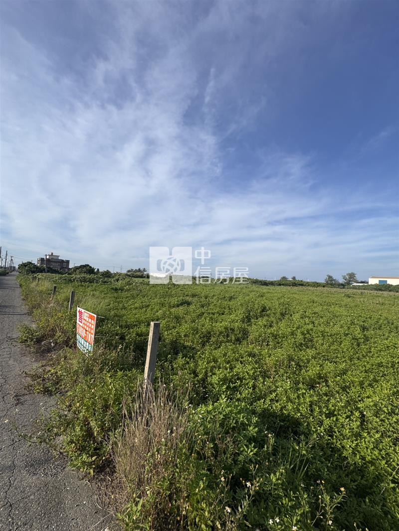 楊厝大面積養殖用地房屋室內格局與周邊環境