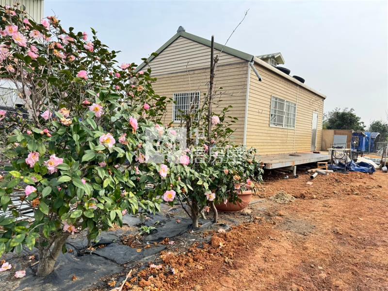 社子國小美田489坪(附合法資材室15.9坪)房屋室內格局與周邊環境