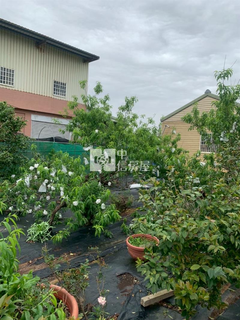 社子國小美田489坪(附合法資材室15.9坪)房屋室內格局與周邊環境