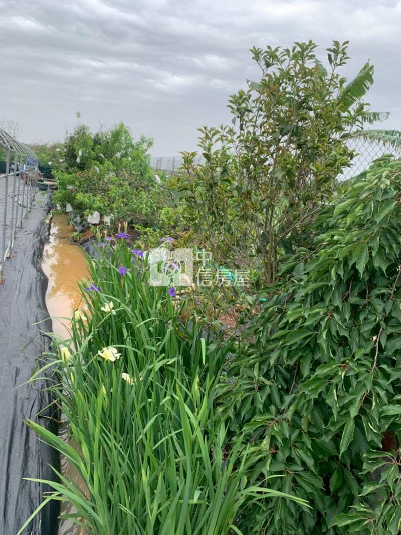 社子國小美田489坪(附合法資材室15.9坪)房屋室內格局與周邊環境