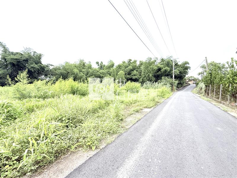 關廟長富街3分農地房屋室內格局與周邊環境