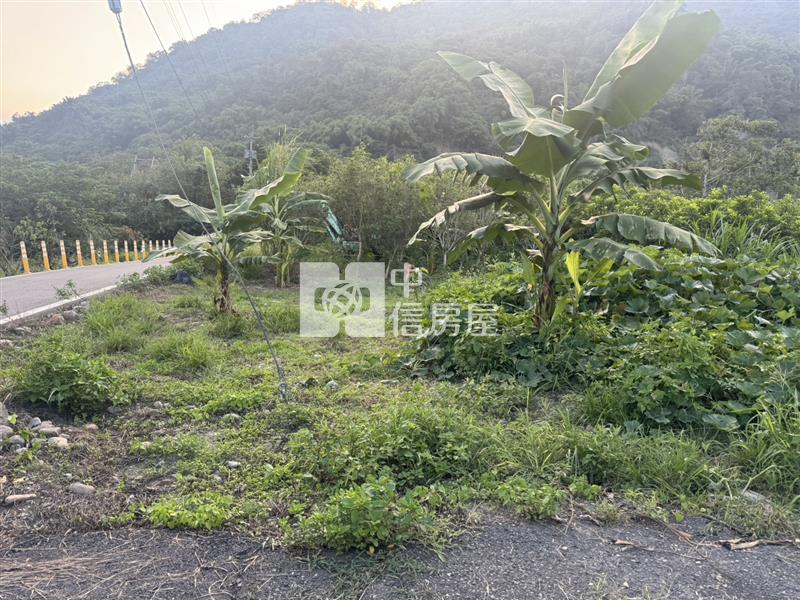 國姓成功農地房屋室內格局與周邊環境
