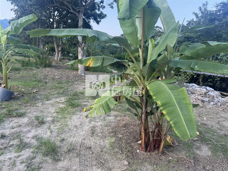國姓成功農地房屋室內格局與周邊環境