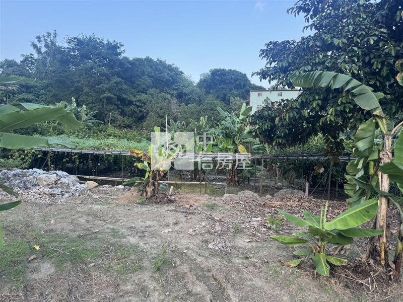 國姓成功農地房屋室內格局與周邊環境