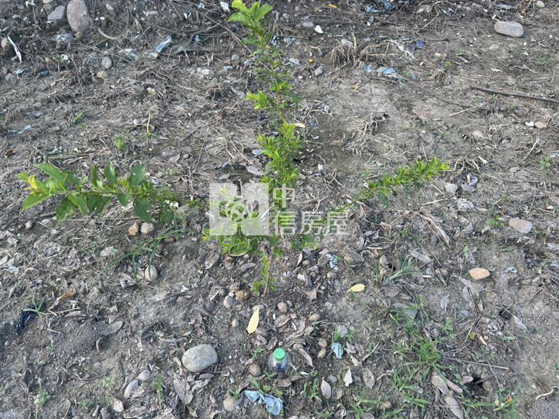 國姓成功農地房屋室內格局與周邊環境