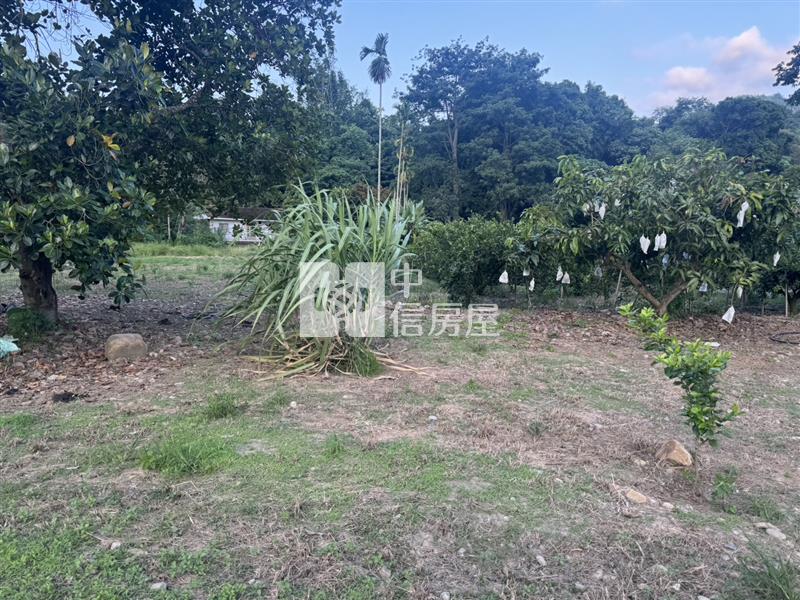 國姓成功農地房屋室內格局與周邊環境