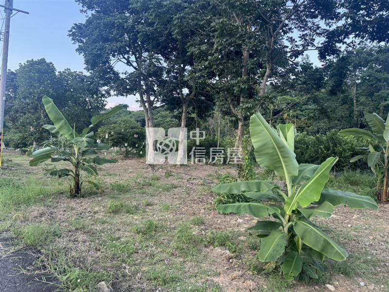 國姓成功農地房屋室內格局與周邊環境