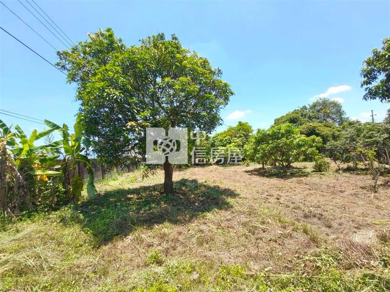 斗南新庄建地送平房房屋室內格局與周邊環境