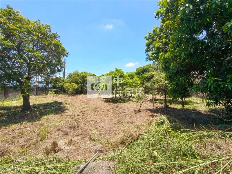 斗南新庄建地送平房房屋室內格局與周邊環境