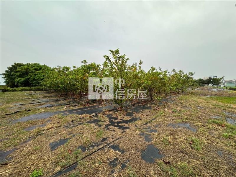 霧峰四德路大面寬雙合法農地廠房房屋室內格局與周邊環境
