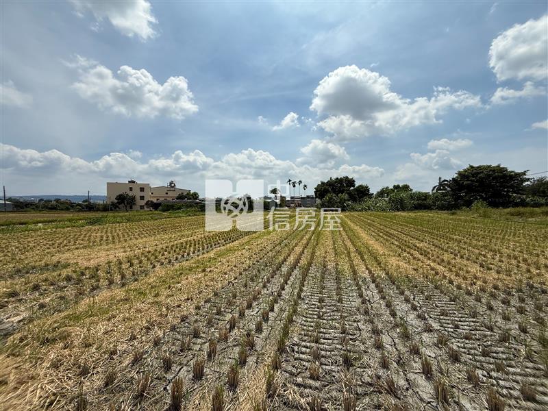 【安家】專任-草屯新永安段都內美農地1房屋室內格局與周邊環境