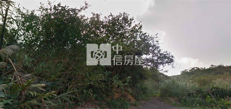 (專)梅園地(23)房屋室內格局與周邊環境