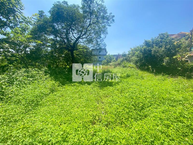 【新世紀】中央大學旁合法農舍房屋室內格局與周邊環境