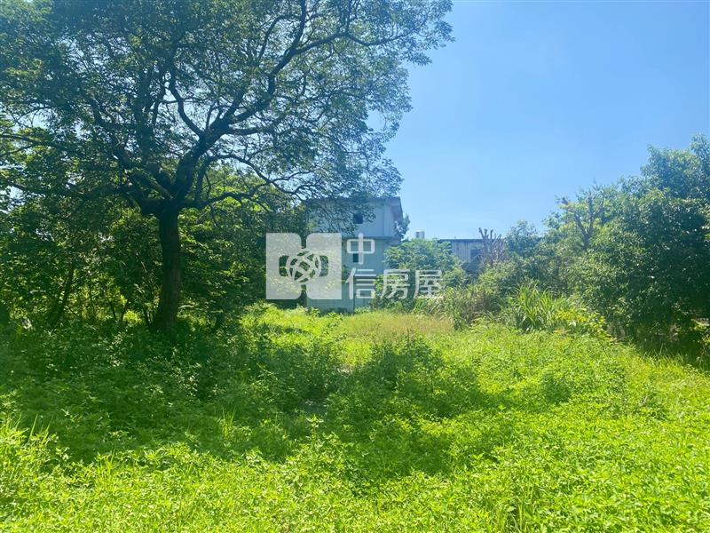 【新世紀】中央大學旁合法農舍房屋室內格局與周邊環境