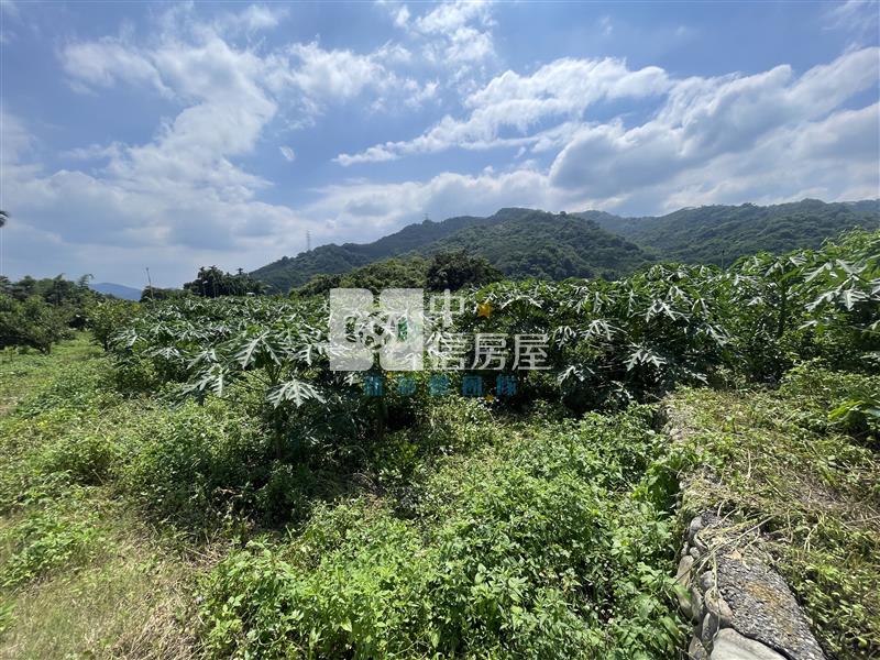 【新夢想】南投國姓長流國小8米路旁有機農房屋室內格局與周邊環境