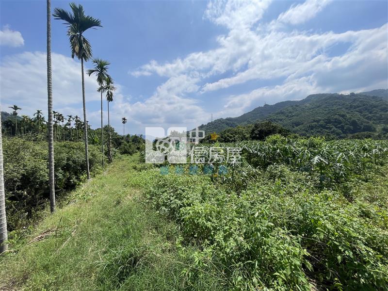 【新夢想】南投國姓長流國小8米路旁有機農房屋室內格局與周邊環境