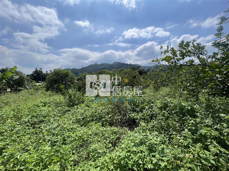 【新夢想】南投國姓長流國小8米路旁有機農房屋室內格局與周邊環境