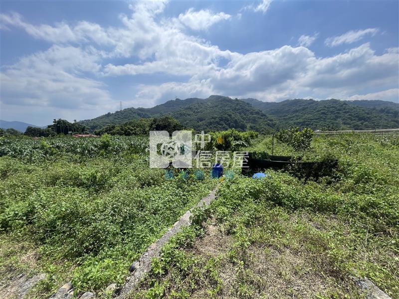 【新夢想】南投國姓長流國小8米路旁有機農房屋室內格局與周邊環境