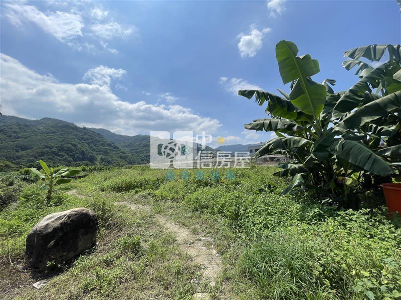 【新夢想】南投國姓長流國小8米路旁有機農房屋室內格局與周邊環境