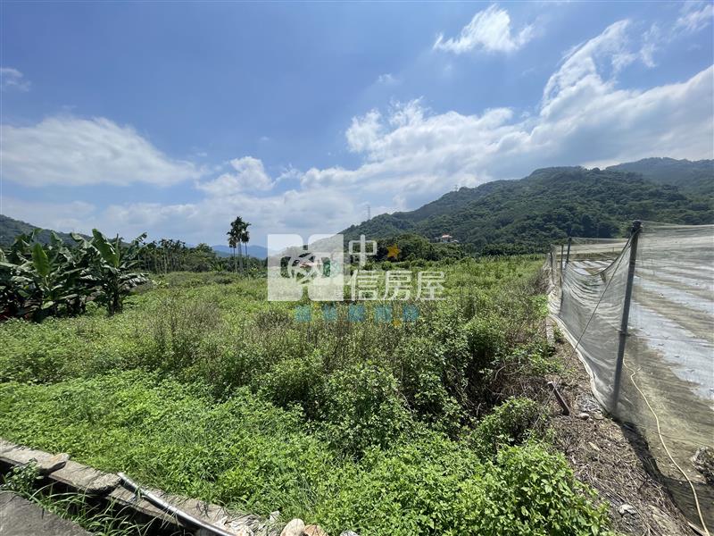 【新夢想】南投國姓長流國小8米路旁有機農房屋室內格局與周邊環境