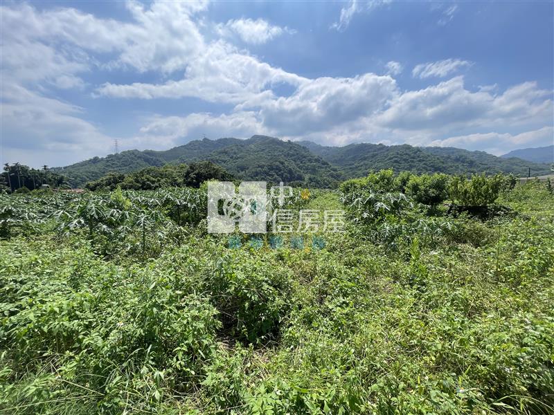 【新夢想】南投國姓長流國小8米路旁有機農房屋室內格局與周邊環境