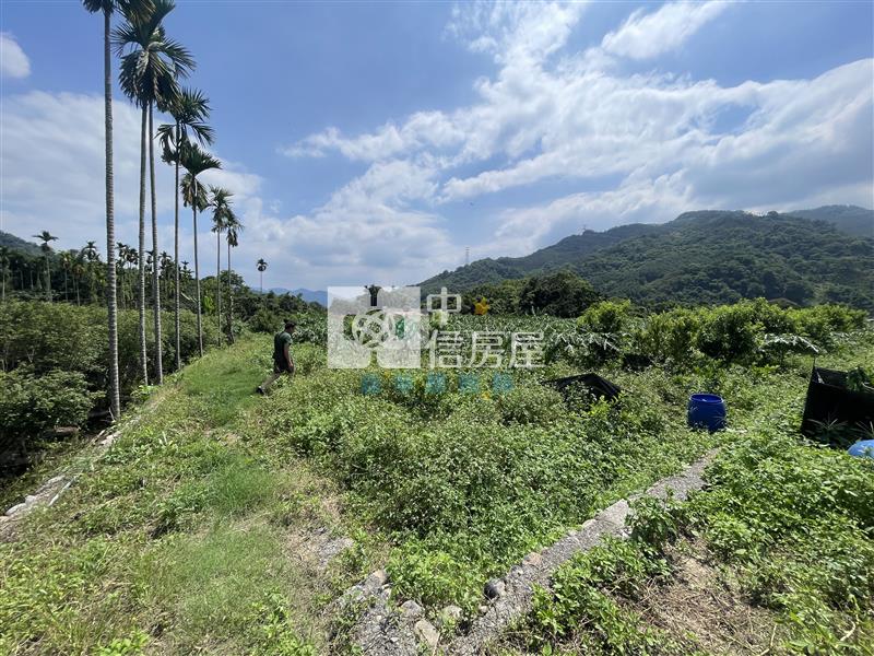 【新夢想】南投國姓長流國小8米路旁有機農房屋室內格局與周邊環境