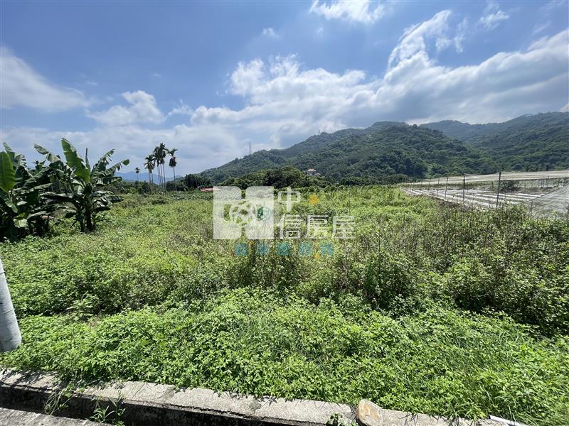 【新夢想】南投國姓長流國小8米路旁有機農房屋室內格局與周邊環境