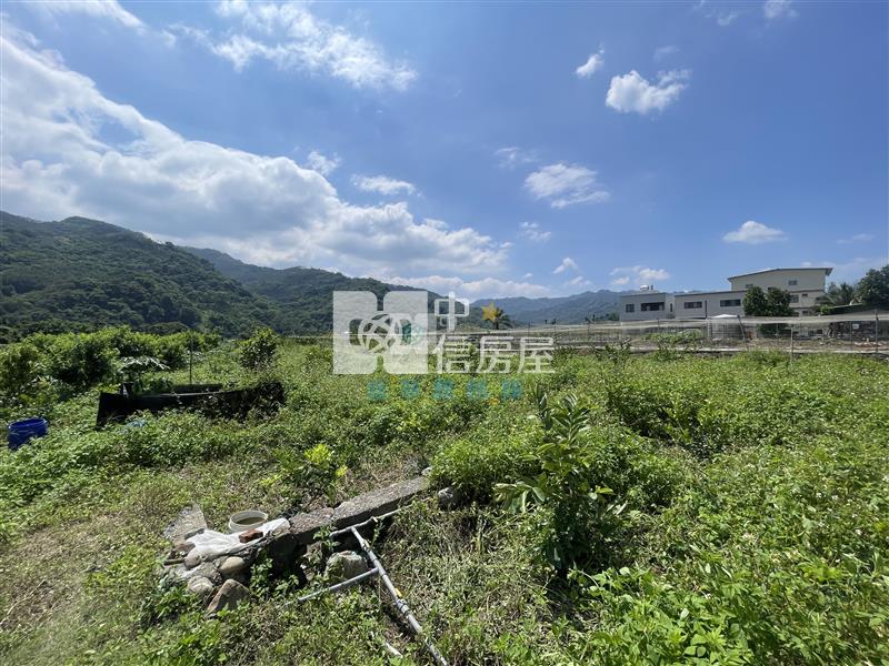 【新夢想】南投國姓長流國小8米路旁有機農房屋室內格局與周邊環境