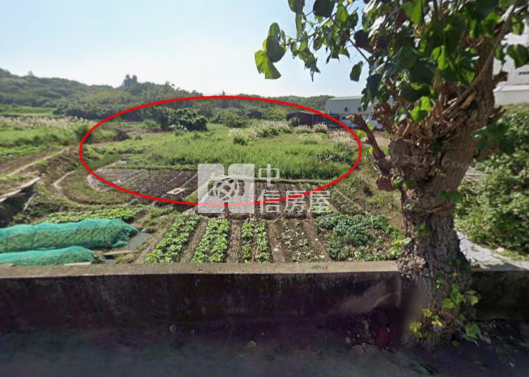 【奔馳】蘆竹大坑街697農地房屋室內格局與周邊環境
